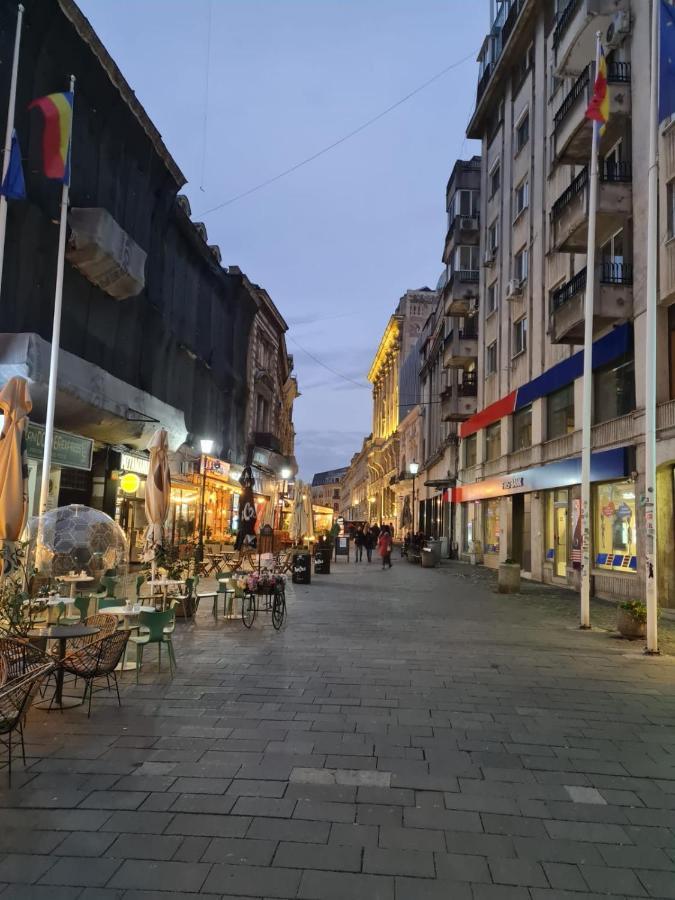 Apartamento Color Ap Calea Victoriei 12C Bucarest Exterior foto
